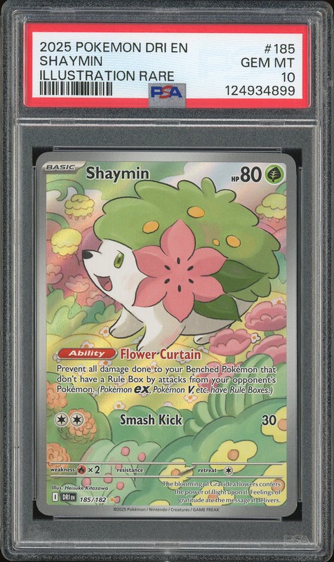 2025 Pokemon Scarlet & Violet: Journey Together Shaymin #185 Illustration Rare PSA 10