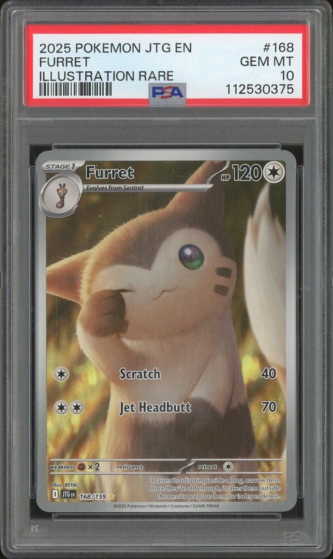 2025 Pokemon JTG EN Illustration Rare Furret #168/159 PSA 10