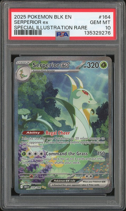 2025 Pokemon Black Bolt Serperior ex #164 Special Illustration Rare PSA 10